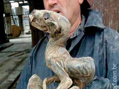 Monstro mumificado é achado em mina de diamantes na Sibéria