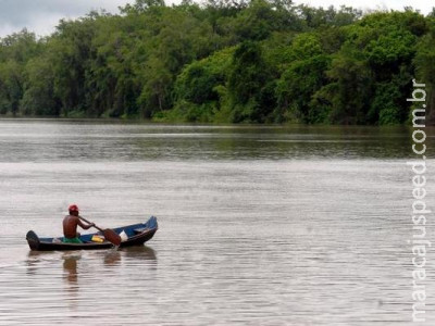 Governo desiste de Tapajós; Greenpeace alerta para riscos de hidrelétricas