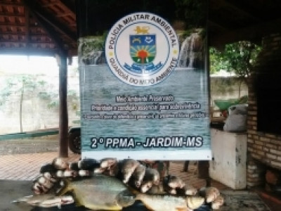 Douradense leva multa de R$ 1,5 mil por pescado acima da cota