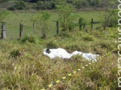 Caseiro passa mal e morre após fugir de ataque de búfalo