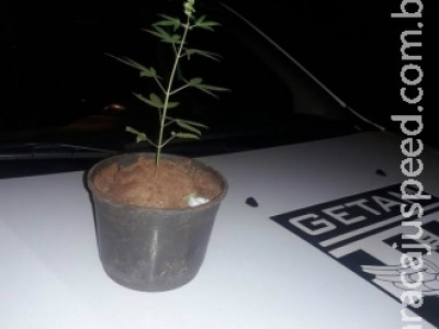 Dupla rouba celular e GPS leva polícia à casa de assaltante