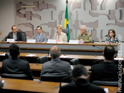 Peixe adulterado importado canibaliza mercado nacional, aponta audiência