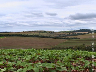 Mudança climática cria dúvidas sobre disponibilidade de alimentos, diz FAO