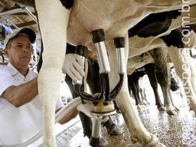 Excedente da produção de leite em MS chega a 78 milhões de litros/ano