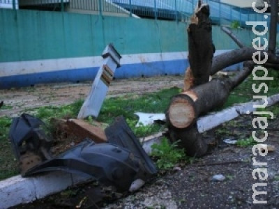 Condutor perde controle de Corolla, derruba árvore e parquímetro