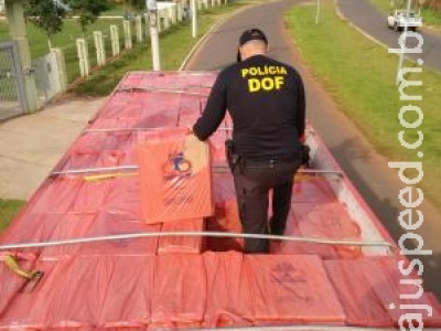 DOF apreende carga de cigarro avaliada em mais de R$ 2 mi