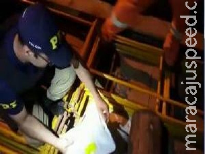 PRF apreende agrotóxico avaliado em R$ 240 mil