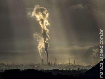  Mudança climática já afeta 82% da vida na Terra, diz estudo