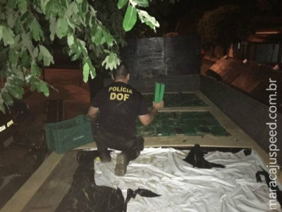 DOF prende 3 transportando 2,6 toneladas de maconha