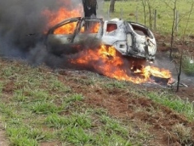 Jovem de 24 anos morre carbonizado após carro colidir em árvore