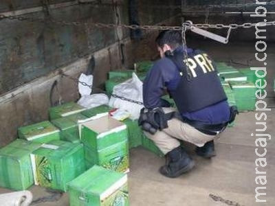 PRF apreende carga de agrotóxico avaliada em mais de R$ 300 mil