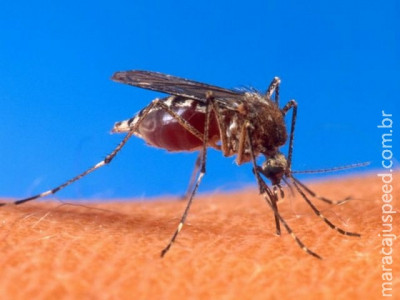 "Chikungunya é pior do que se imagina ", diz Luiz de Abreu