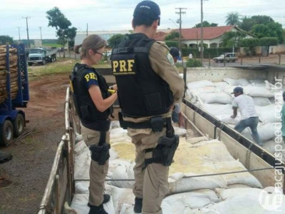 Motorista pula de carreta e abandona 6 toneladas de maconha
