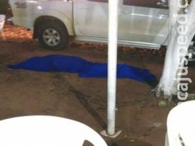Domador é executado a tiros na cabeça em Ponta Porã