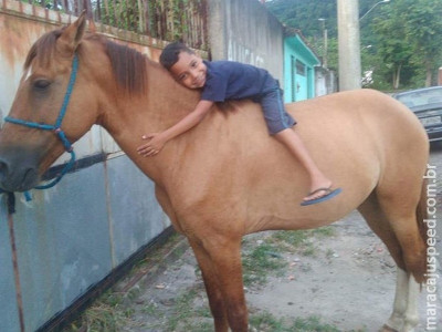  Ladrão se arrepende e devolve cavalo furtado a criança doente