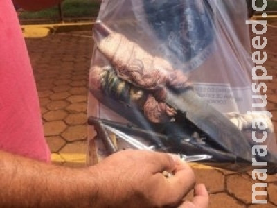 Princípio de rebelião na penitenciária é controlado