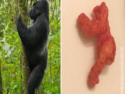  Salgadinho parecido com gorila é leiloado por quase US$ 100 mil
