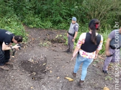 Ossadas são encontradas em cemitério clandestino