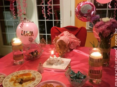 Gatinha faz 15 anos e ganha festa de debutante