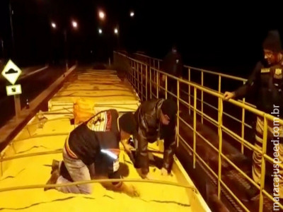 Polícia apreende drogas em carga de farelo de soja