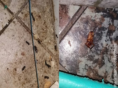 Padaria é interditada por ter rato, baratas e alimentos vencidos