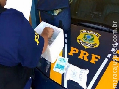 Polícia apreende botox e remédios clandestinos