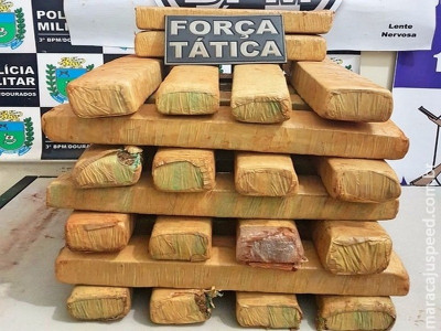 PM apreende 32 quilos de maconha em terreno baldio