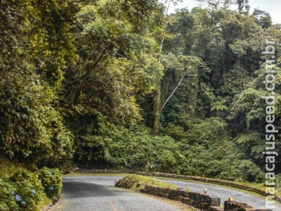 Amante se finge de morta após ser jogada de ponte no PR