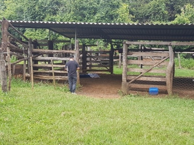 Após discussão, homem esfaqueia esposa e se mata na frente dela