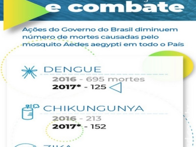 Brasil registra queda nos casos de dengue, zika e chikungunya