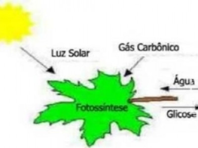 Excesso de nebulosidade prejudica lavouras de soja no MS