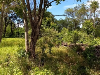 PMA de Jardim autua o 11º fazendeiro por desmatamento ilegal de 22 hectares em vistoria realizada na operação Cervo-do-Pantanal