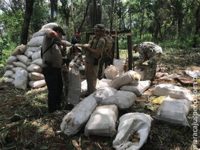 Apreendidas quase 7 toneladas de maconha em acampamentos