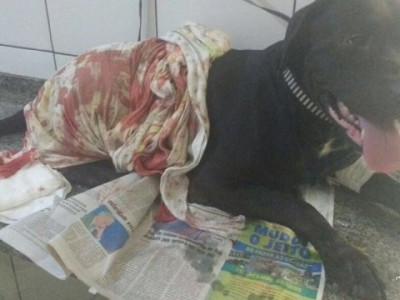 Cachorro é baleado por policial após confusão em praça