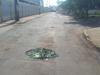  Moradores usam galhos para tapar buraco no Bairro Monte Castelo