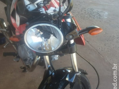 Moto entregador bate em cavalo e quebra clavícula em MS