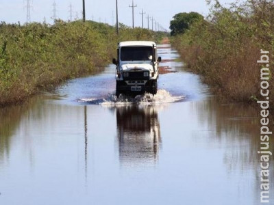 Cheia recua e parte do gado volta às áreas altas no Pantanal