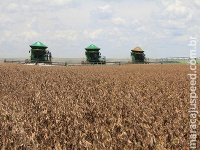 Mato Grosso do Sul deve recuperar crescimento do PIB em 2019