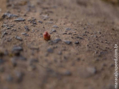 Populares agridem morador de rua suspeito de furtos
