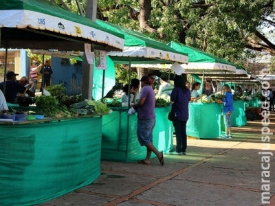 Produtores temem projeto que restringe venda de orgânicos
