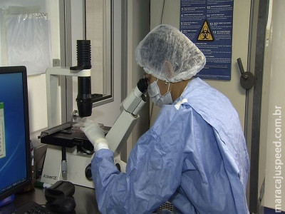 Estudo mostra que Zika chegou ao Brasil proveniente do Haiti