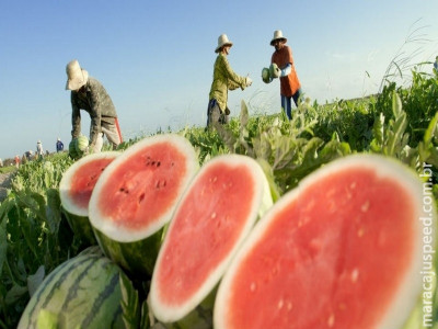 Frutas e hortaliças ficam mais baratas em agosto