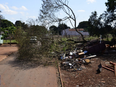 Maracaju: Vento de 39 por hora derruba árvore em caminhão
