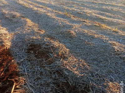 Maracaju: Volta a Gear na zona Rural de Maracaju