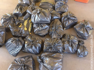 PRF apreende 165 kg de maconha e 300 g de skunk