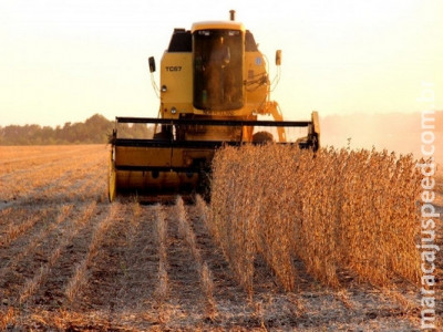 Mato Grosso do Sul está no período de vazio sanitário da soja