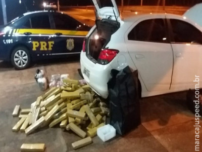 Polícia apreende droga, armas e munições que iriam para MT