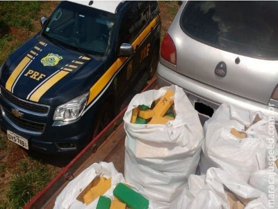 PRF apreende 503 kg de maconha em veículo