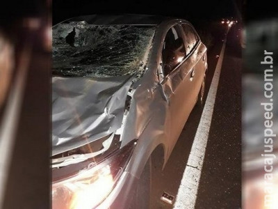 Veículo atropela cavalo na rodovia e para-brisa fica destruído