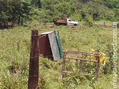 Camionete perde freio e passageiros pulam da carroceria